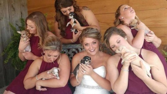 #EsViral: La novia que cambió su ramo de flores por uno de ... ¡perritos!