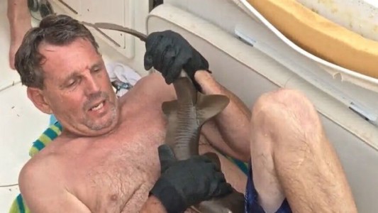 Video escalofriante: salió del mar con un tiburón clavado en un lugar muy doloroso