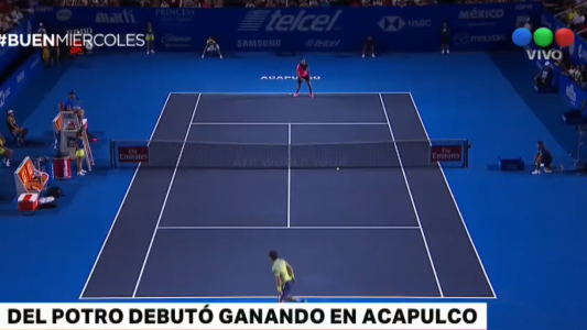 Del Potro debutó ganando en Acapulco