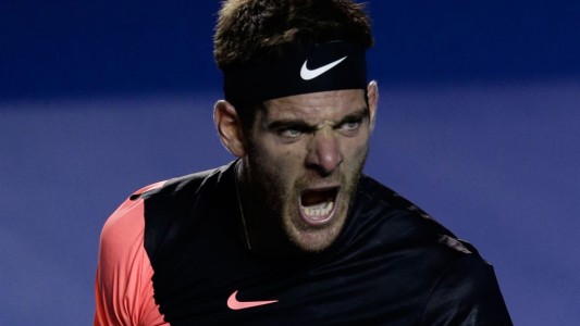 Del Potro, imparable: avanzó a la final en Acapulco