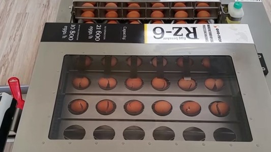 La máquina que puede romper 19.200 huevos por hora