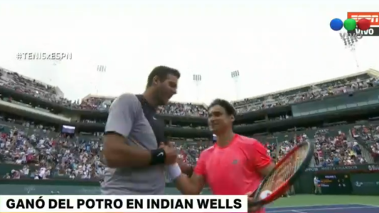 Indian Wells: Juan Martín del Potro le ganó a David Ferrer y avanzó a octavos de final