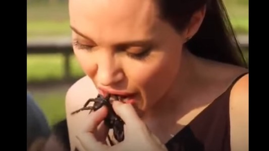 Video: Angelina Jolie comió tarántulas y escorpiones