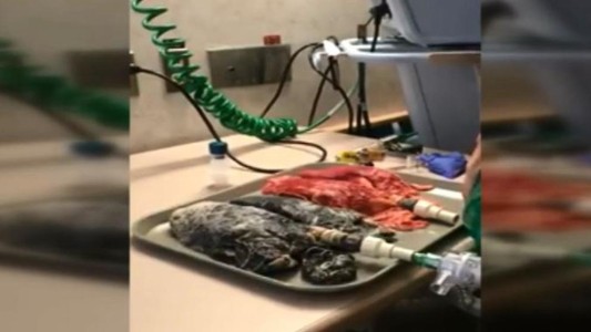 El video que puede ayudar a que las personas dejen de fumar