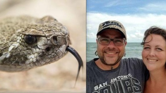 Decapitó una serpiente, pero lo ataco igual y casi muere por el veneno