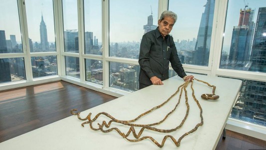 El hombre con las uñas más largas del mundo se las cortó y las exhibirá en un museo