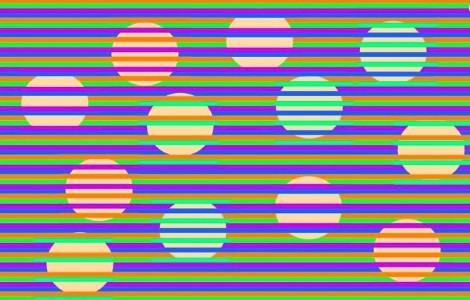 La nueva ilusión óptica que recorre las redes: ¿cuántos colores ves en esta foto?