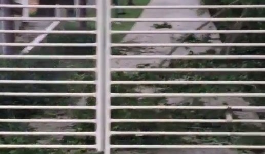 Así quedó la casa de Daddy Yankee