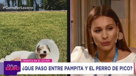 Pampita infraganti: el día que volvió tarde de bailar y el perro de Pico Mónaco la mandó al frente