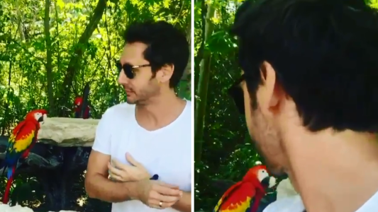 El divertido video de Benjamín Vicuña intentando sacarse una foto con un pájaro que terminó MUY MAL