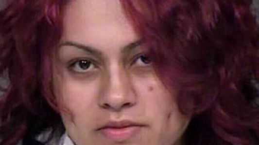 Madre ahogó a sus dos bebés de dos años e impidieron que mate a su hermanastro de tres