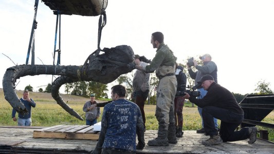 Un granjero encontró huesos de un mamut lanudo