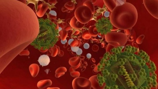 Videos: así se propaga por el cuerpo el virus del SIDA