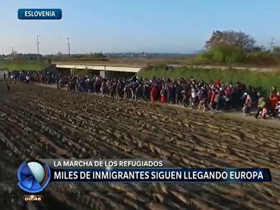 Un patrullero incrustado en un local