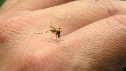 Un nuevo virus amenaza a los turistas en Brasil