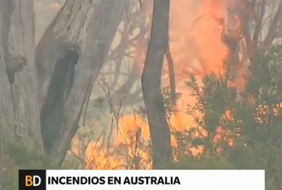 Incendios forestales en Tasmania