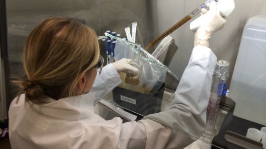 Holanda abre su primer "banco de materia fecal"