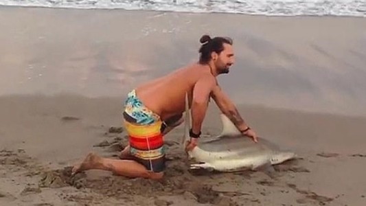Después del escándalo por el delfín, un hombre sacó a un tiburón del agua para tomarse una foto