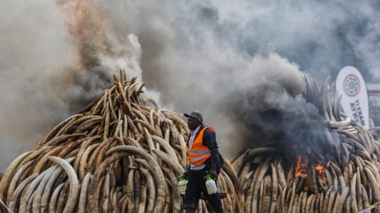 Dramático accidente en Costa de Marfil: cayó un avión en la playa