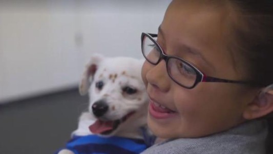 La tierna historia de la nena y el cachorro sordos que se comunican por lenguaje de señas