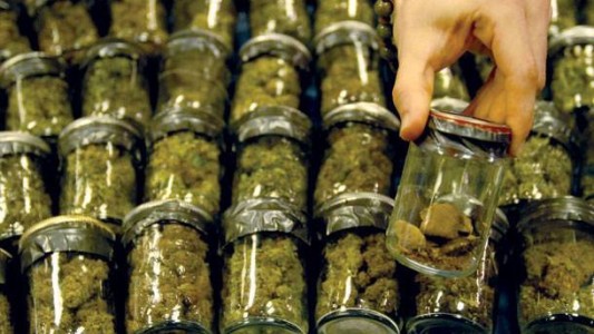 "Dark web": crece la venta de drogas en Internet, donde la marihuana es lo más vendido