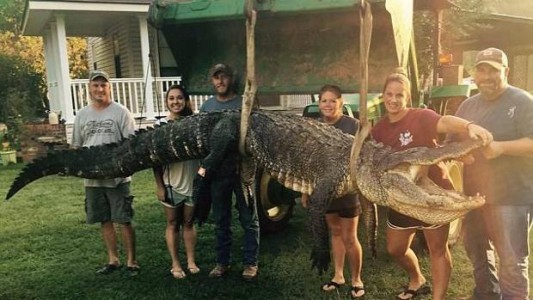La familia que capturó un caimán gigante en Estados Unidos