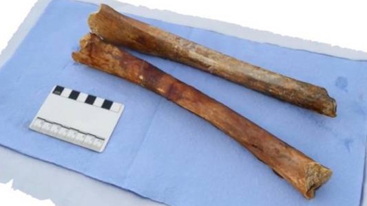 Encuentran un esqueleto de hace 2.000 años en un barco hundido