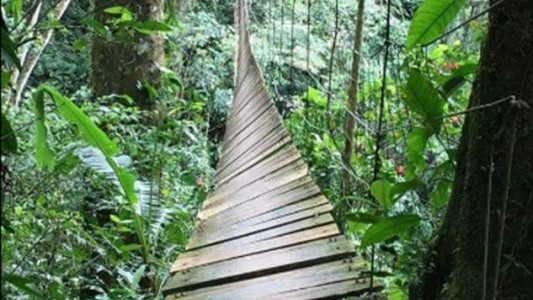 Al menos 11 muertos y 14 heridos por la caída de un puente colgante en Colombia