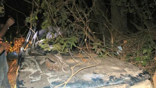 Una conductora cayó al vacío desde ocho metros de atura y salió ilesa