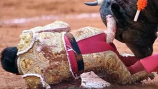 Videos: el torero lo provocó y el animal lo mató de una cornada