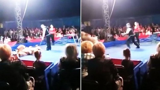 Video impactante: un espectador filmó el momento en el que un oso se tiró hacia el público en un circo