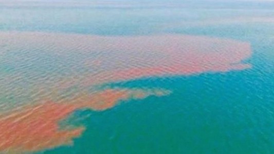 Algo huele mal: una mancha de excremento de 80 kilómetros cubrió parte de la costa de México