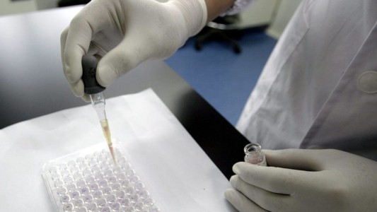 Avance científico: lograron corregir en embriones la mutación que provoca la muerte súbita