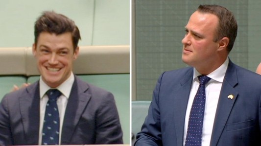 Diputado homosexual le pidió casamiento a su pareja durante el debate por el matrimonio gay