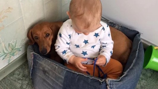 Un niño de dos años murió al caerle encima un suicida