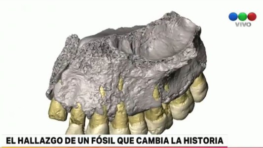 Un fósil de Homo sapiens hallado en Israel cambia el relato sobre la especie humana