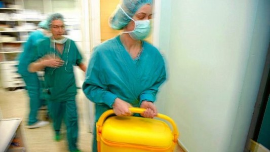 Holanda: aprobaron una ley que convierte a todos los ciudadanos en donantes de órganos