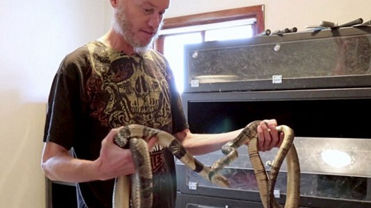 Video escalofriante: un científico se dejó morder por una serpiente muy venenosa y el resultado sorprendió a todos