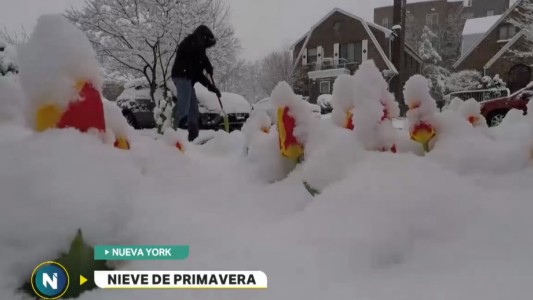 Nueva York: una tormenta de nieve en plena primavera