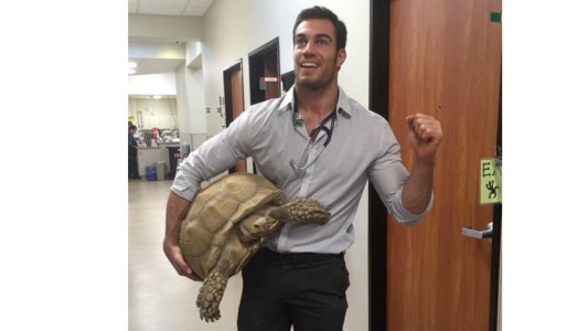 Encontramos al veterinario más sexy de internet