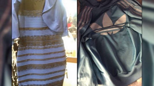 A un año de la polémica del vestido, ahora nadie sabe de qué color es esta campera