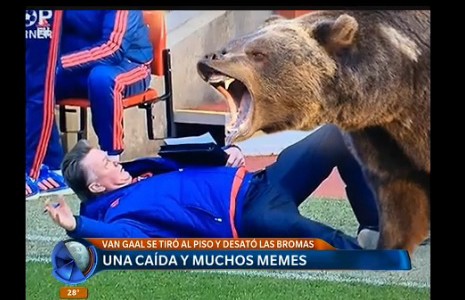 Van Gaal: una caída y muchos memes