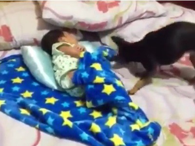 #EsViral El mejor amigo del niño