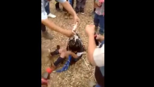 #LadyBullying el video que muestra la agresión a una niña de 7 años que indigna a las redes sociales