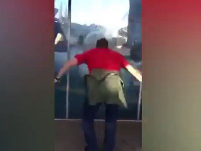 #EsViral El Oso que imita a un visitante del zoológico