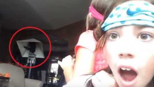 El gato en la lámpara: el video viral y generó la angustia de millones