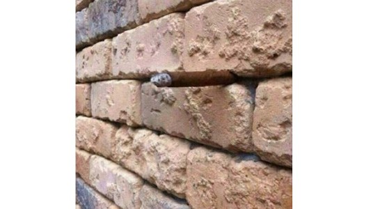 Acertijo viral: ¿qué "esconde" esta pared?