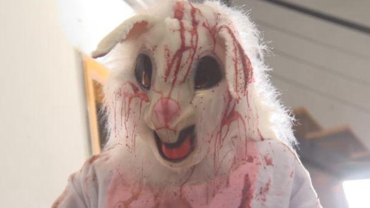 Video: la broma viral del conejo asesino