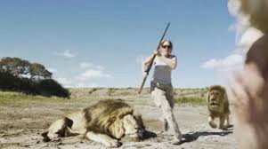 Video viral: la venganza de un león contra una pareja de cazadores