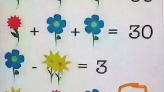La ecuación matemática de las flores que es furor en las redes sociales
